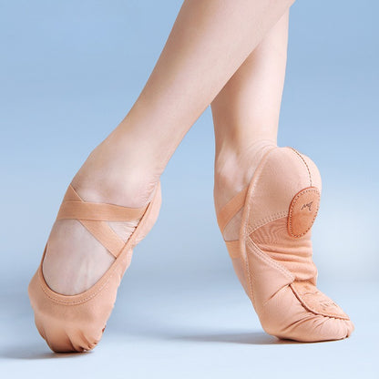 Mesh Split Sole Canvas Ballet Shoe